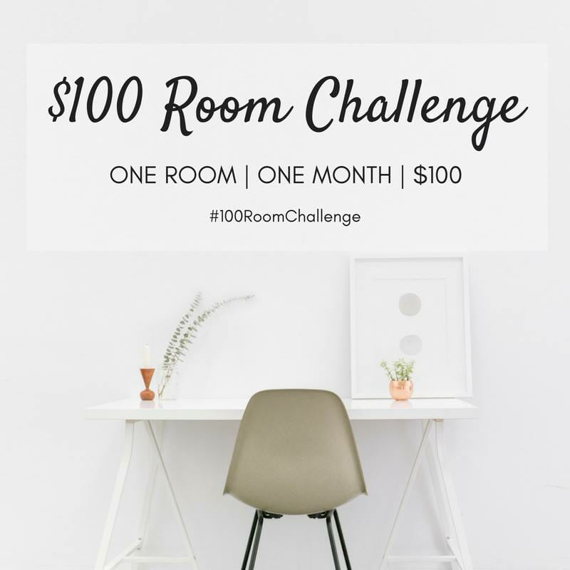 $100 Room Challenge Master Bedroom Edition Reveal!!
