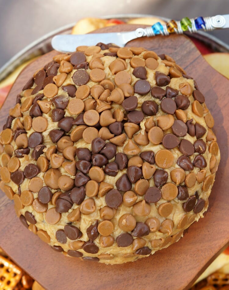 Peanut Butter and Chocolate Cheeseball