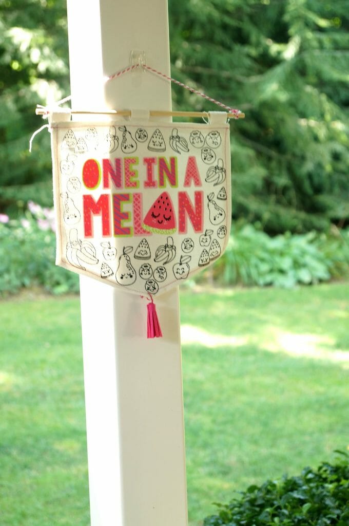 One in A Melon Girl's Birthday Party from Target