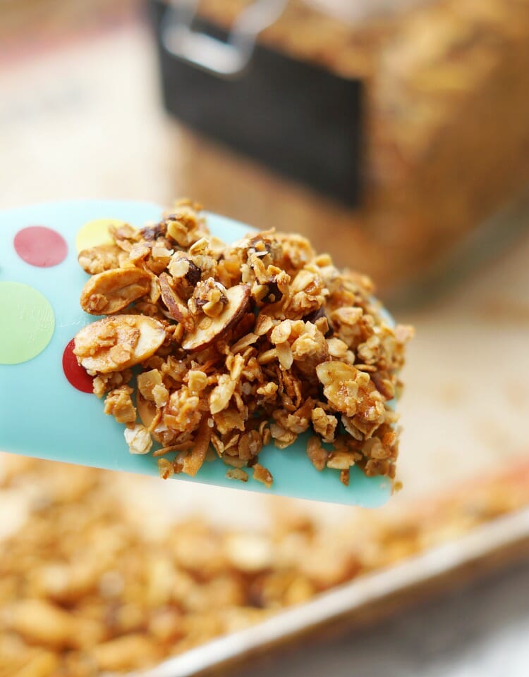 Simple Sweet and Salty Homemade Granola